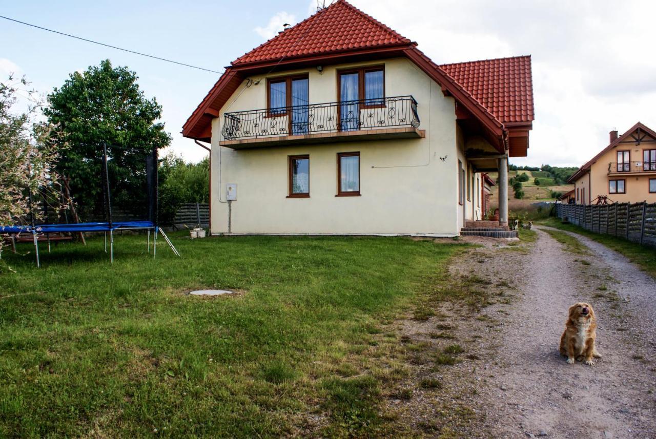 Agroturystyka U Aleksa Krajno-Zagorze Экстерьер фото